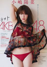 [Wöchentliche große Comic-Geister] Haruna Koshima 2017 No.19 Photo Magazine